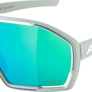 ALPINA Okuliare BONFIRE Q-Lite dymovo šedá mat