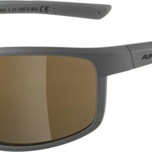 ALPINA Cyklistické okuliare DEFEY moon-grey